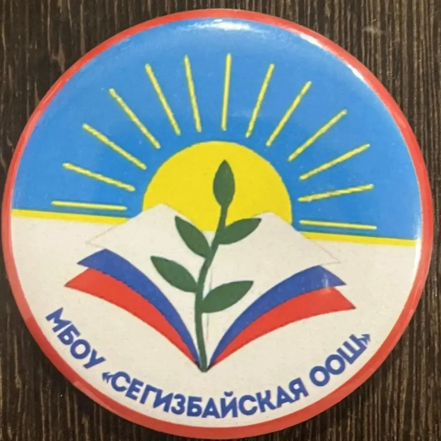 МБОУ "Сегизбайская ООШ"