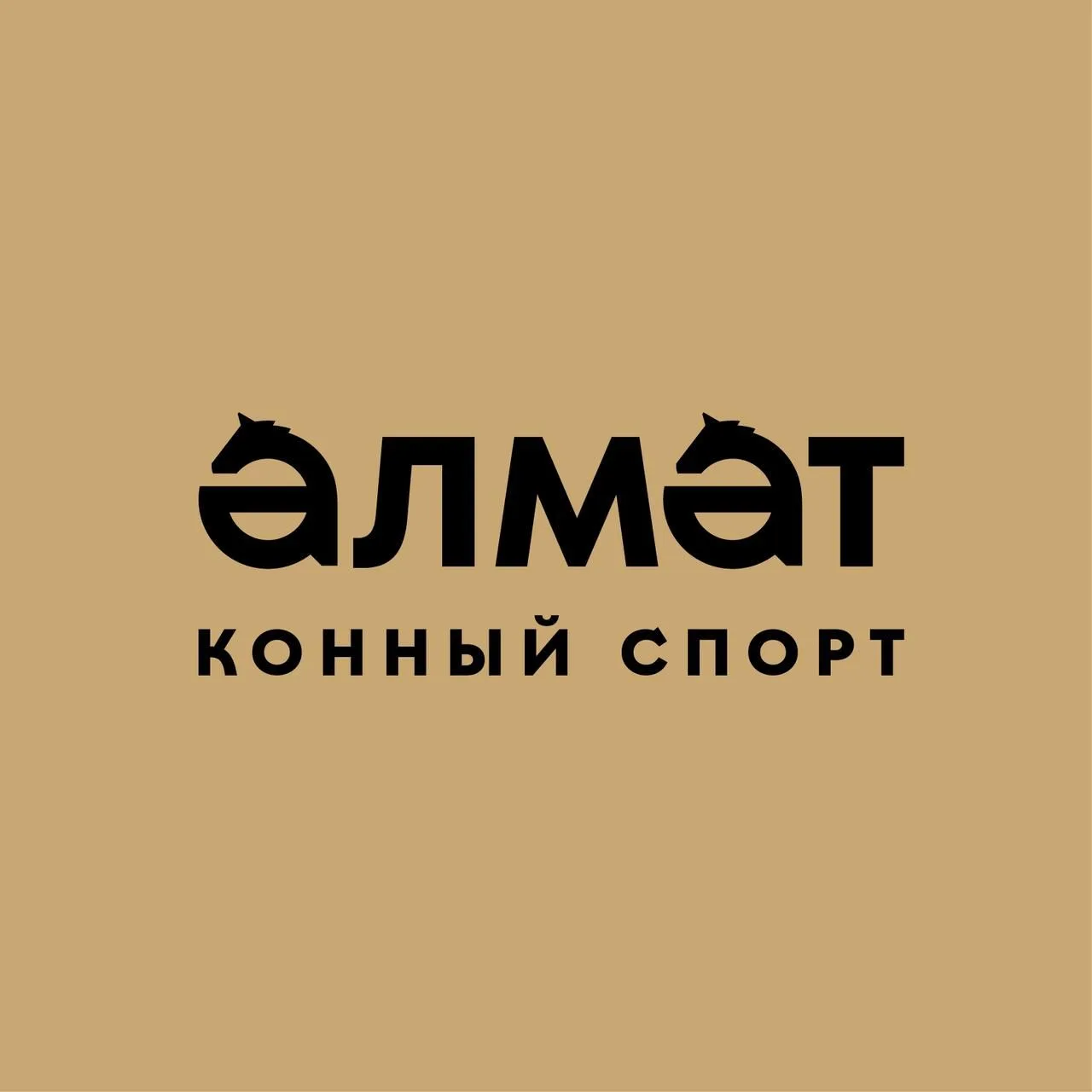 Конноспортивная школа Альметьевск
