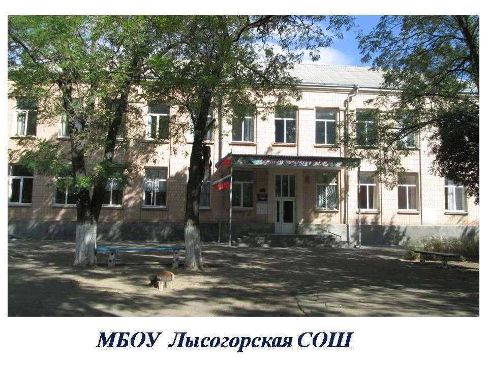 МБОУ ЛЫСОГОРСКАЯ СОШ