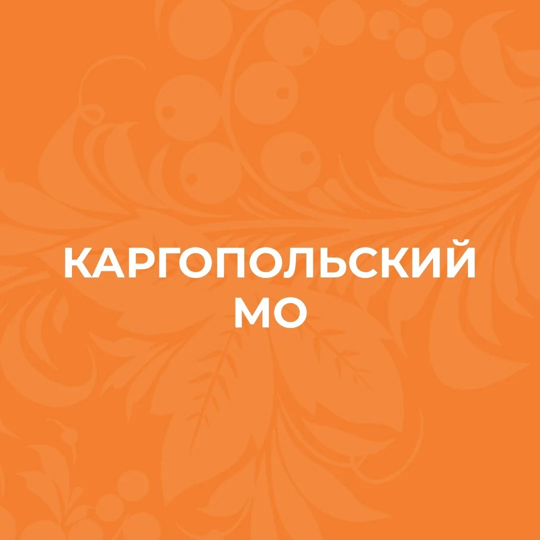 Администрация Каргопольского муниципального округа