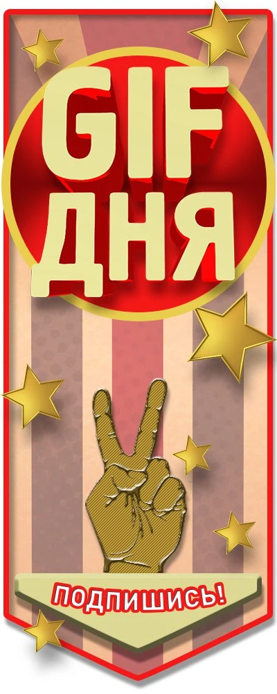 GIF дня