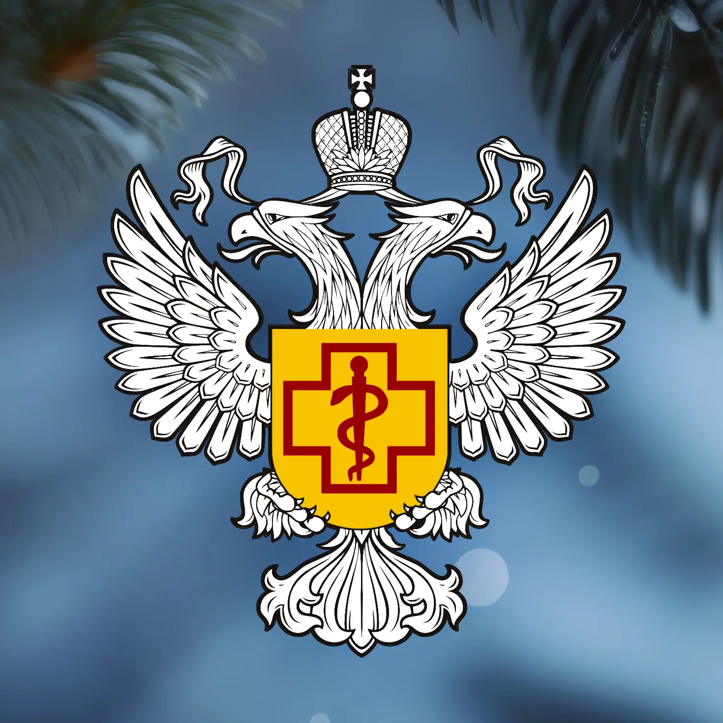 Роспотребнадзор Киров