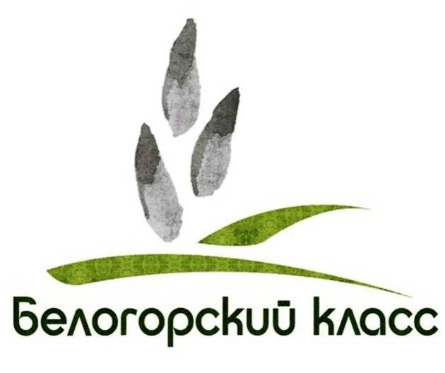 ЧОУ СОШ "Белогорский класс"