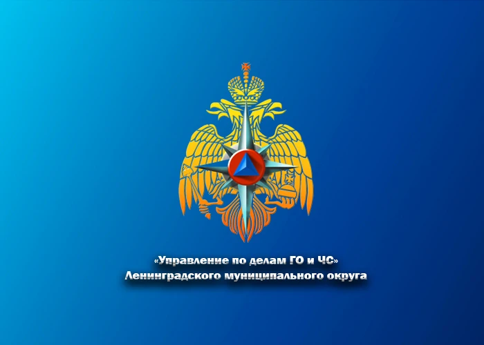 Управление по делам ГО и ЧС Ленинградского округа