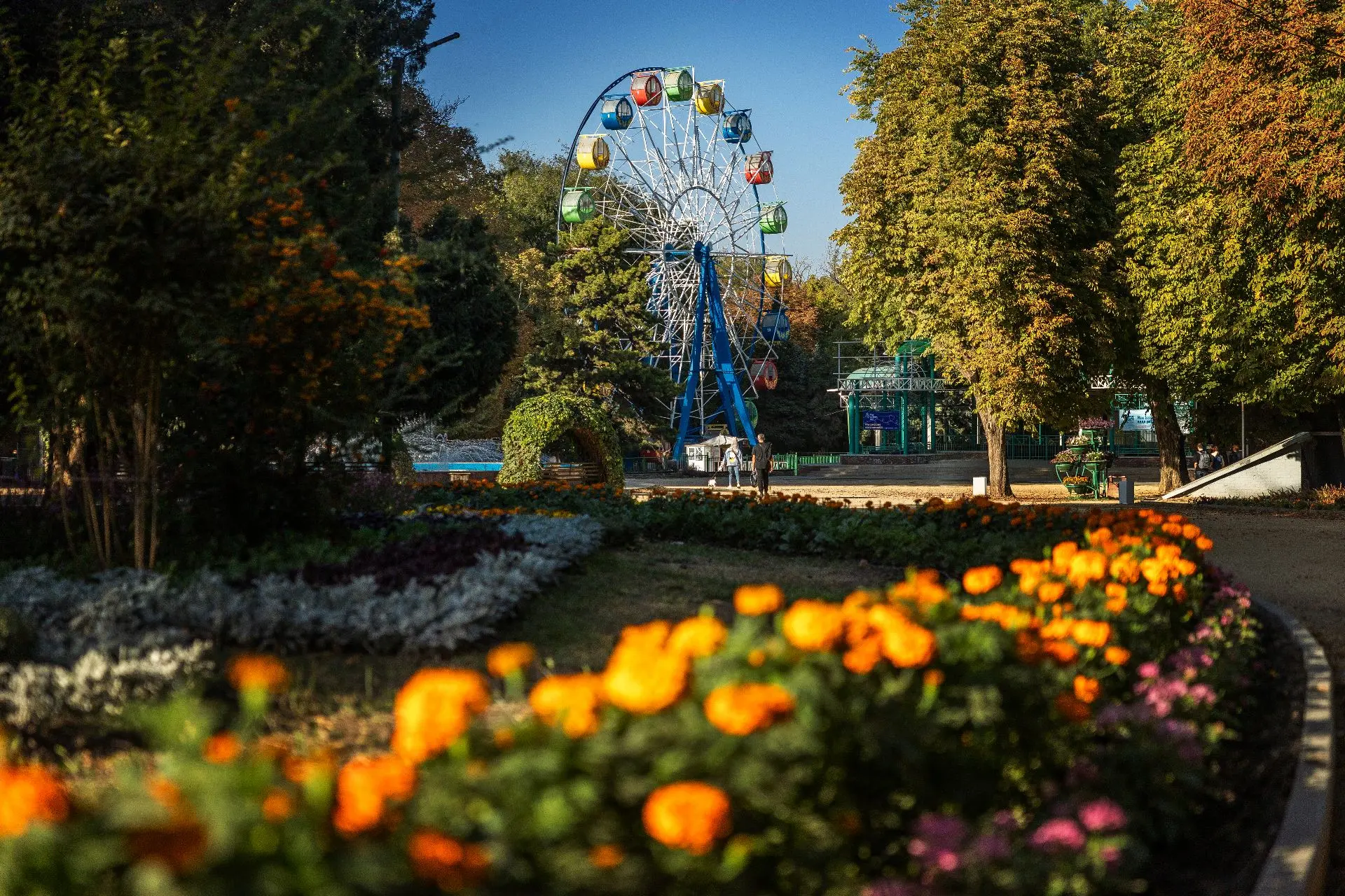 МАУ "ЦКДД"