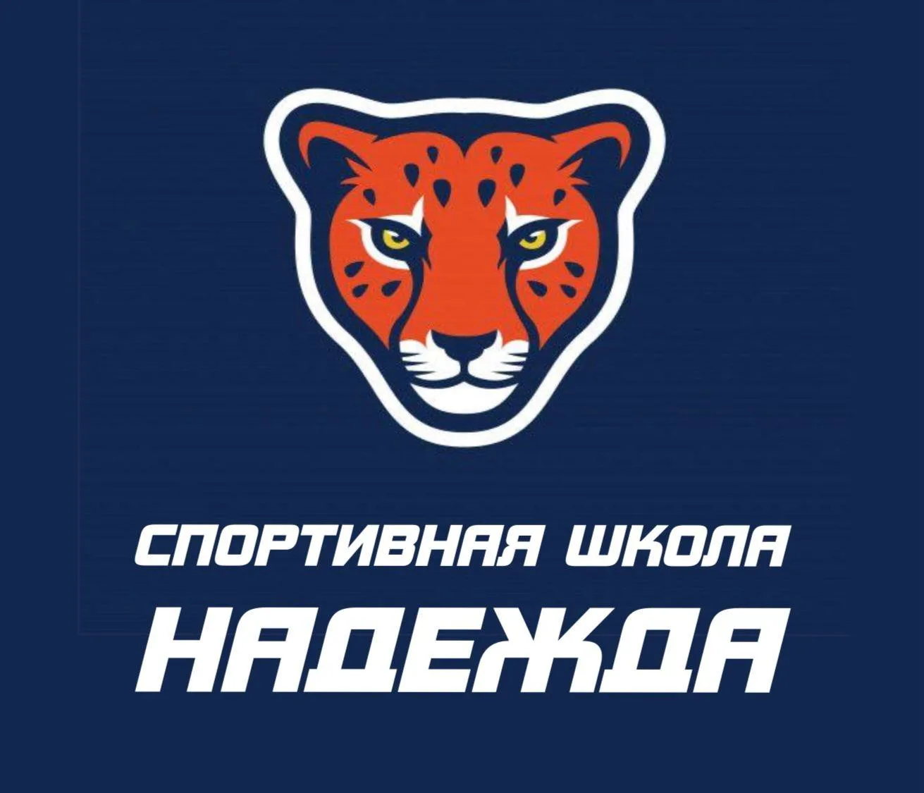 Спортивная школа «Надежда» и ФОК п. Новый