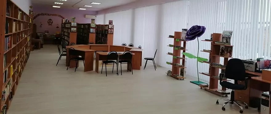 МБУК ВСБ