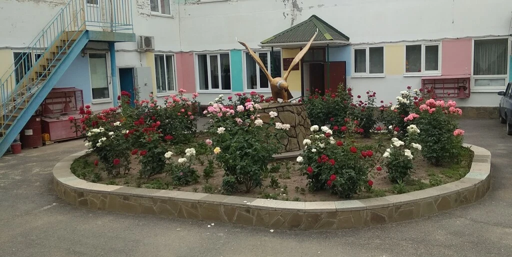 ГБУСОН РО "СРЦ Белокалитвинского района"