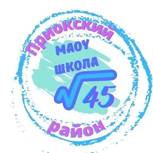 МАОУ "Школа №45" Приокский район