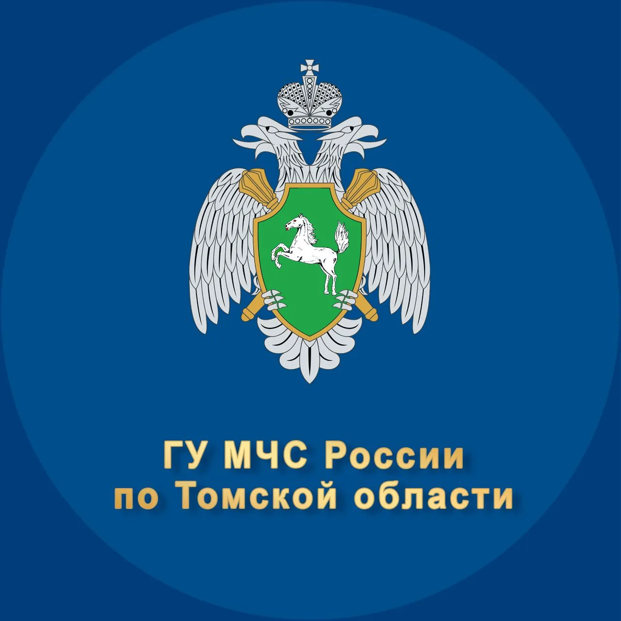 МЧС Томской области