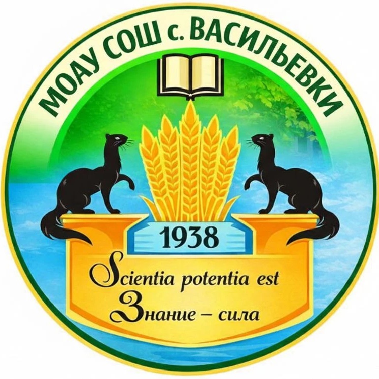 МОАУ СОШ с. Васильевки