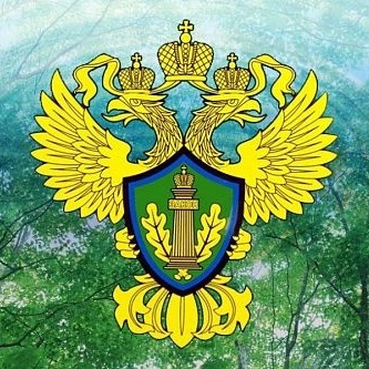 Росприроднадзор по Нижегородской области и Республике Мордовия