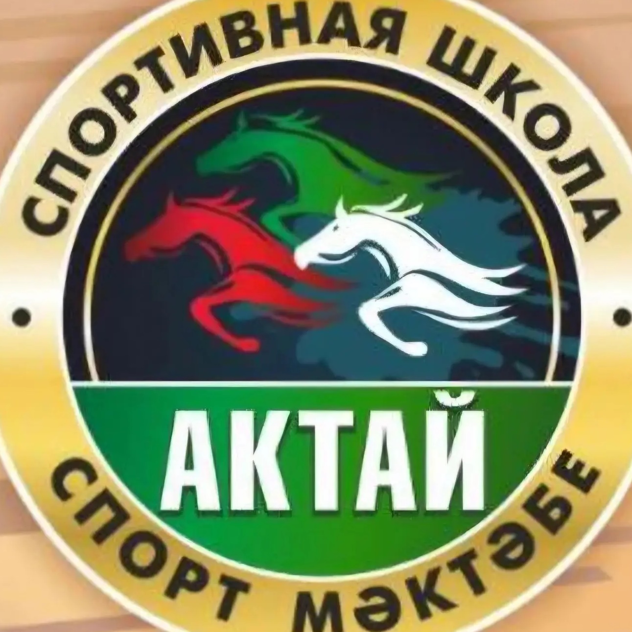 МБУ ДО "СШ "Актай" НМР РТ