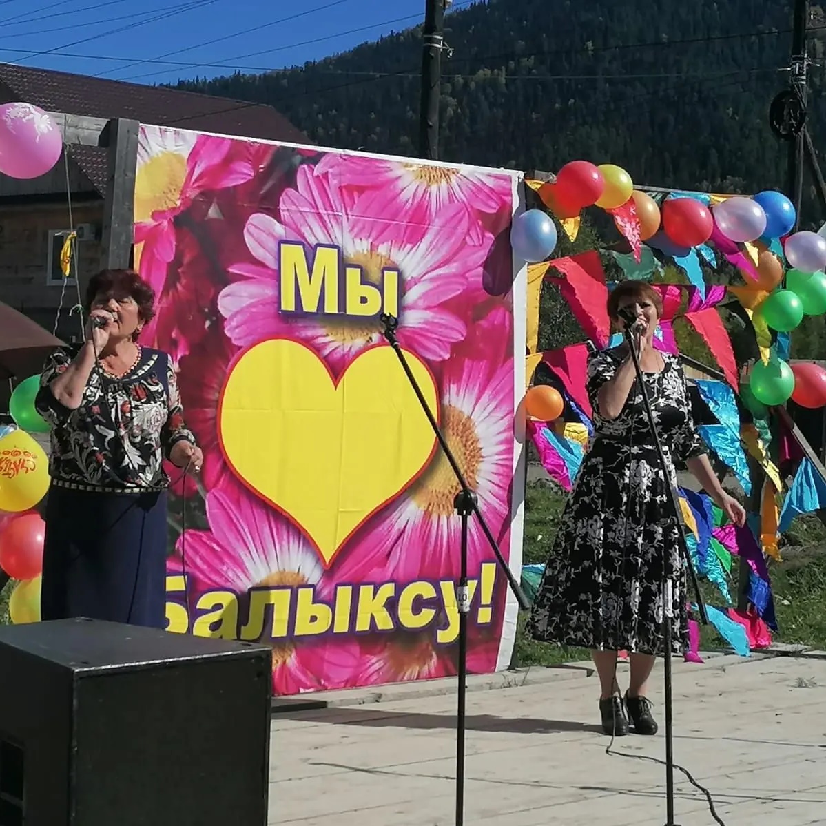МКУК "БАЛЫКСИНСКИЙ СДК "РАДОСТЬ"