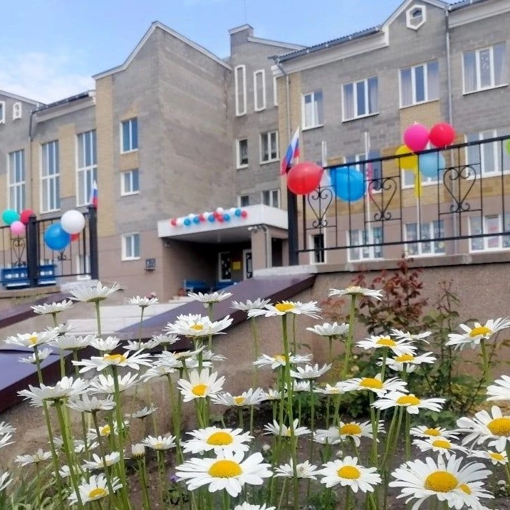 МБОУ "Новобезгинская СОШ им. Героя РФ А.М. Ананичева"