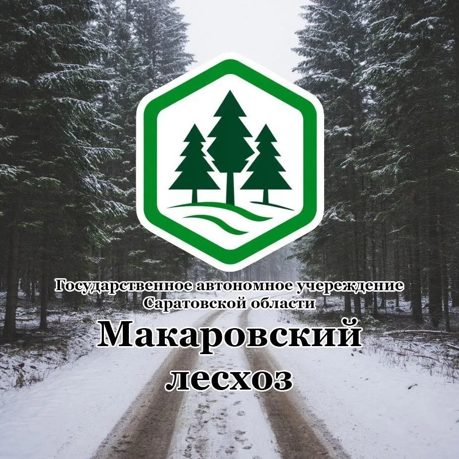 ГАУ СО "Макаровский лесхоз"
