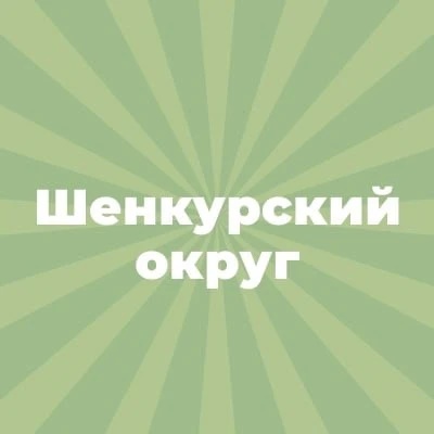 Шенкурский муниципальный округ