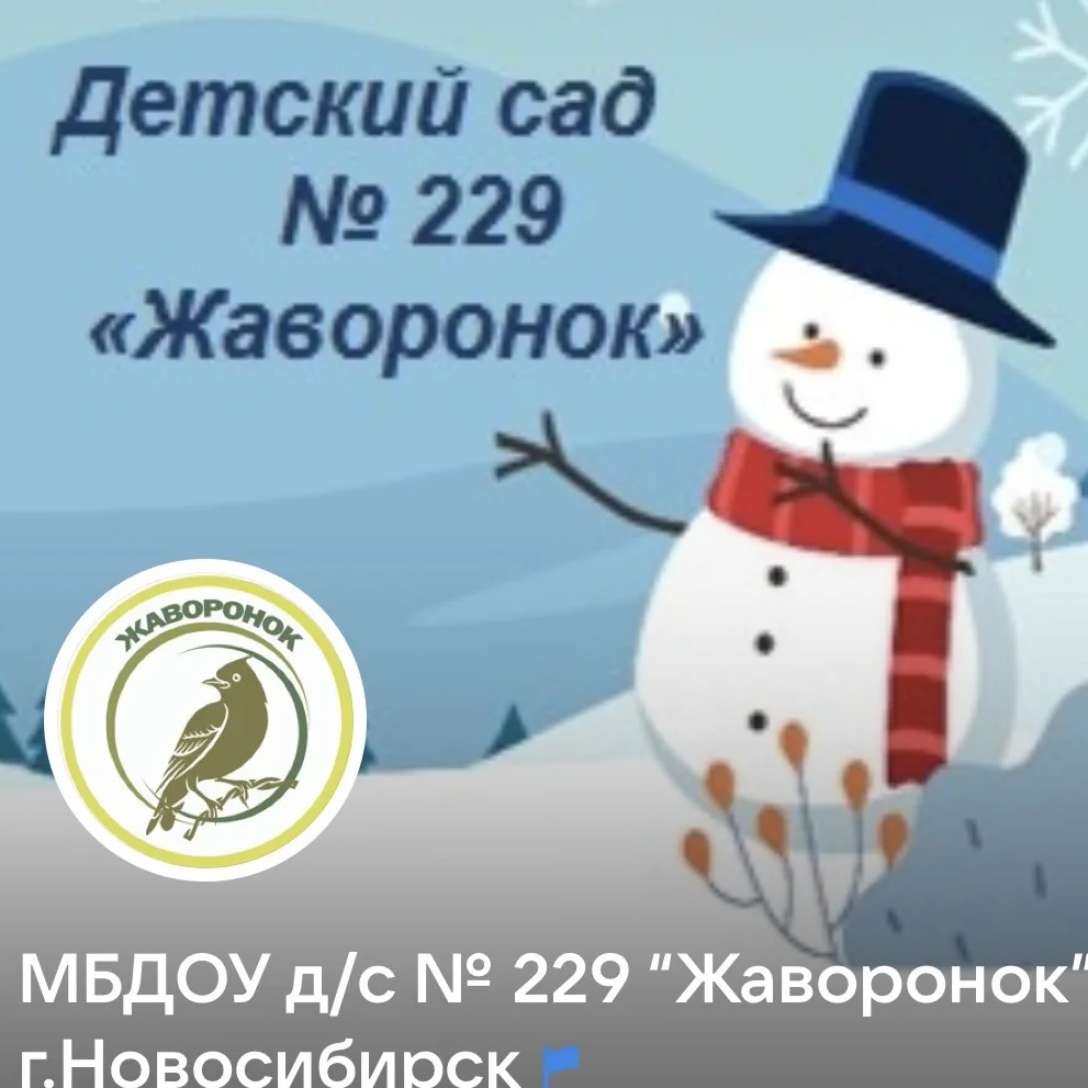 "Жаворонок" 229