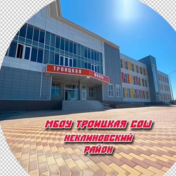 МБОУ Троицкая СОШ