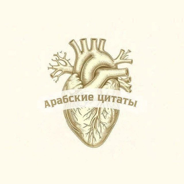 Арабские цитаты