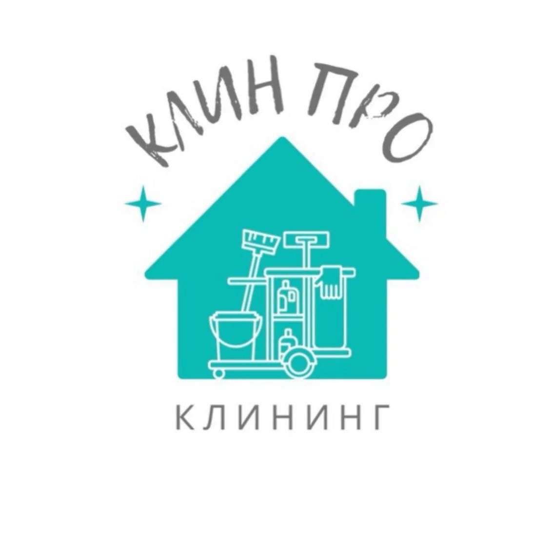 Клин Про