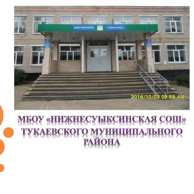 МБОУ "Нижнесуыксинская СОШ" Тукаевского муниципального района РТ