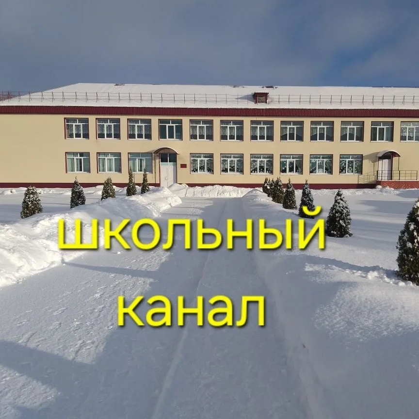 МБОУ "Сетоловская СОШ" Почепского района Брянской области