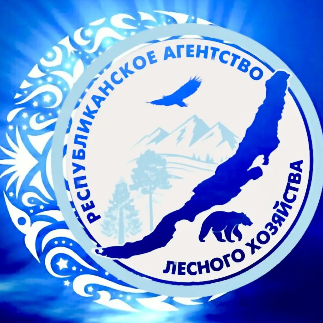 Лесное хозяйство Бурятии