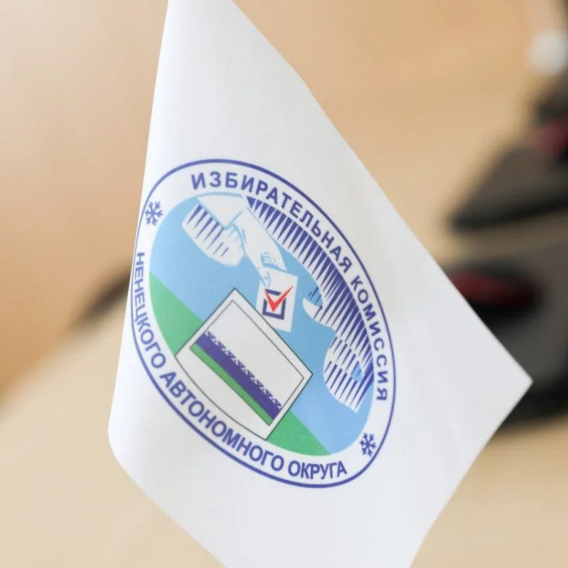 Выборы в НАО