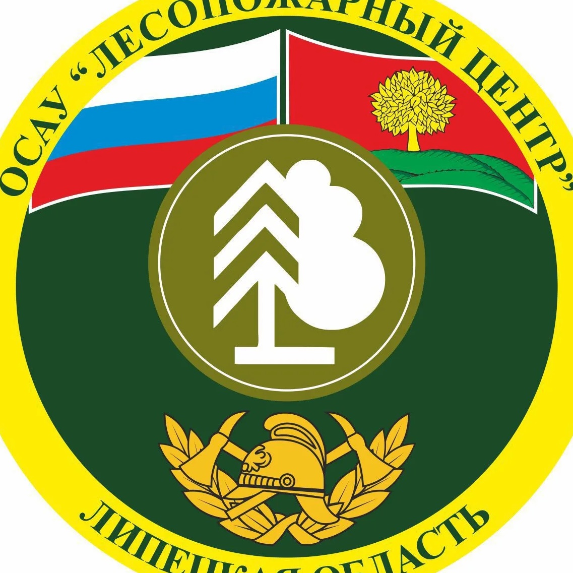 ОСАУ "Лесопожарный центр"