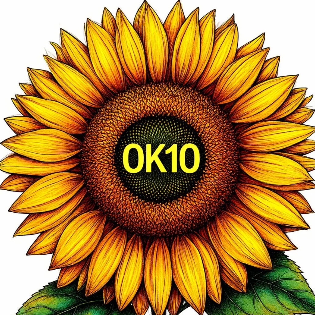 ОК 10 Ярославль
