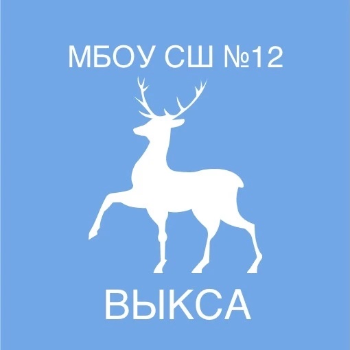 МБОУ СШ № 12 г. Выкса