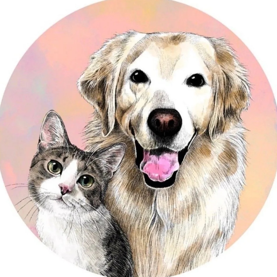 Хвостики 🐶 В мире животных : Кошки собаки попугаи обезьяны домашние животные хомяки еноты птицы рыбы лисы копибары кролики крысы еноты совы лошади ежики зверюшки малыши пушистики породистые кошки