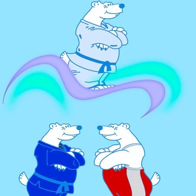 МАУ ДО СШ 13
