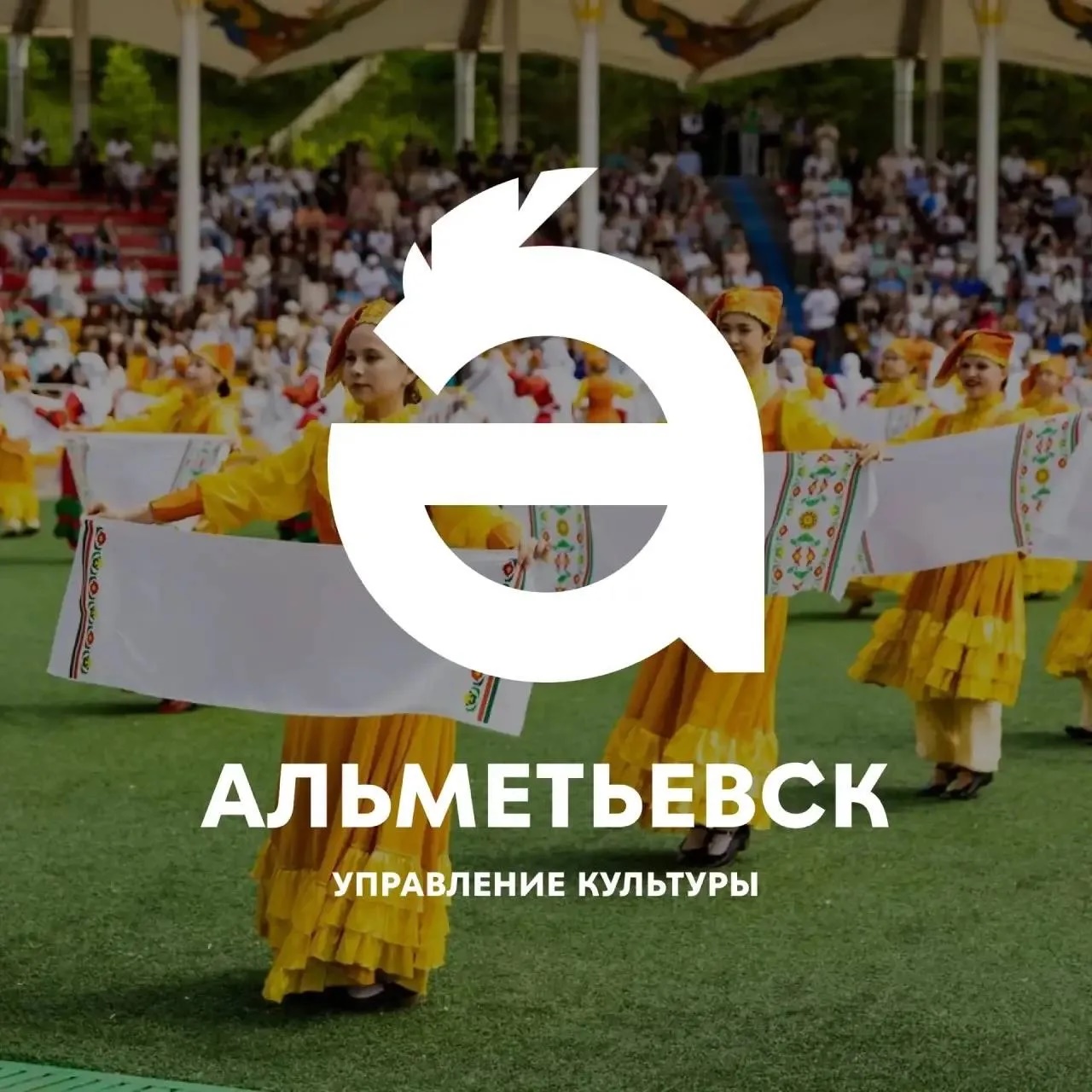 Управление культуры АМР РТ