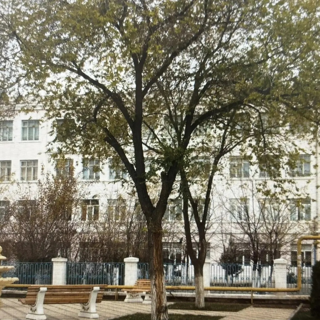МБОУ СОШ 1 имени Магомедова М.М.