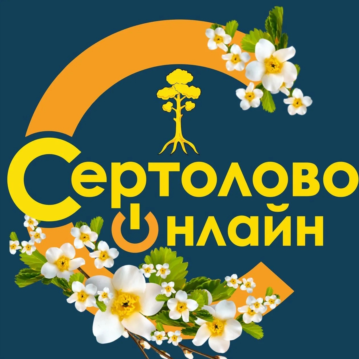 Сертолово онлайн 🔥