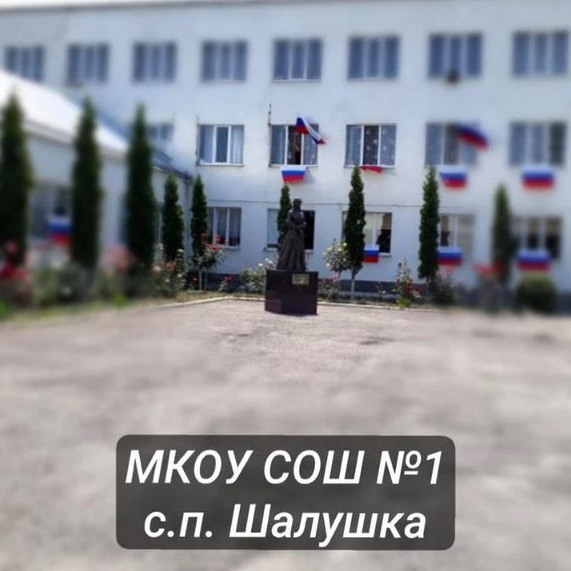 МКОУ "СОШ №1" с.п. Шалушка