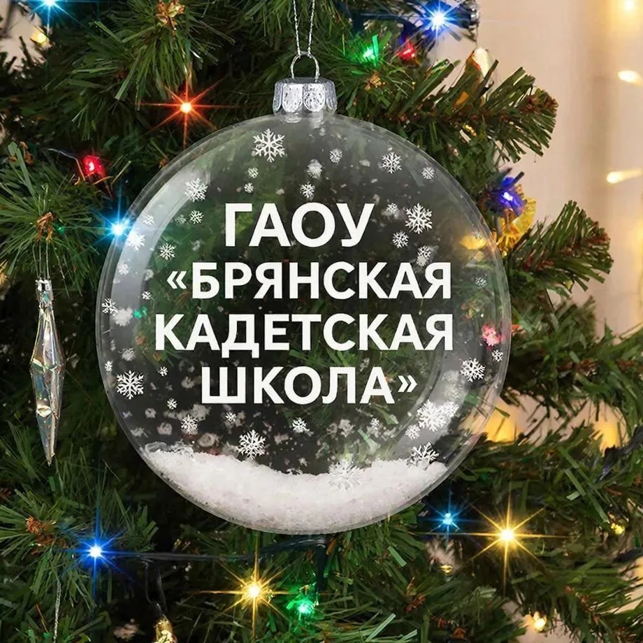 ГАОУ "Брянская кадетская школа"