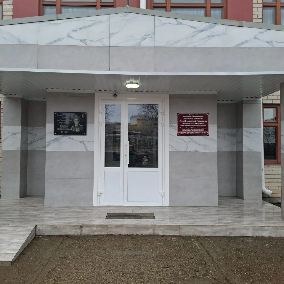 МОУ Гимназия № 9 города Буденновска