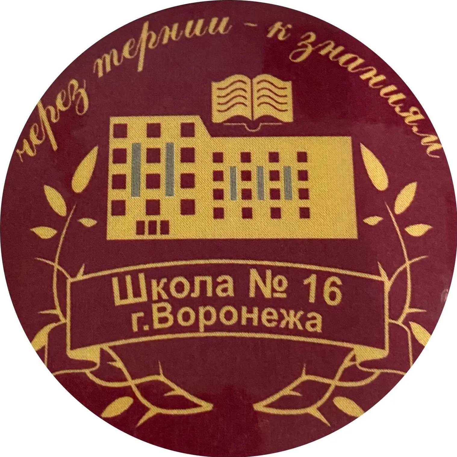 ШКОЛА 16 , г.Воронеж