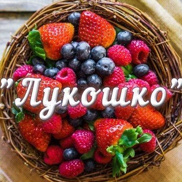 МАДОУ "Детский сад 77" "ЛУКОШКО"