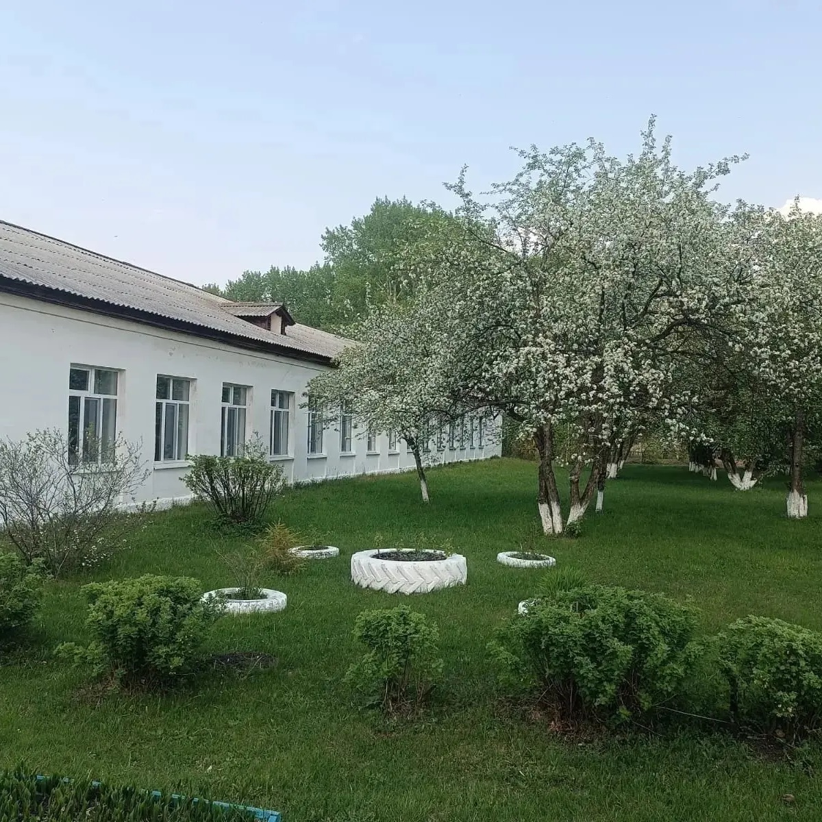 МКОУ "Смолинская СОШ"