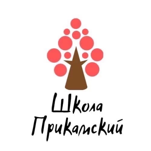 МБОУ СОШ п. Прикамский. Официальный канал
