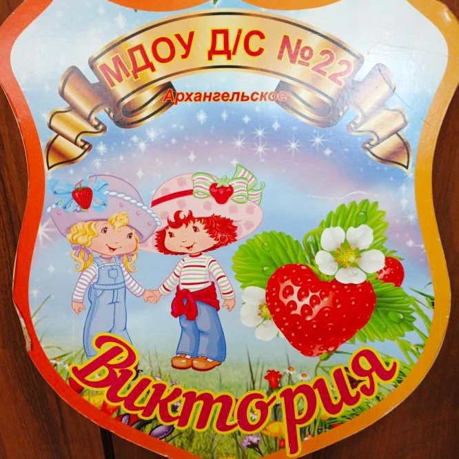 МДОУ детский сад 22 "Виктория"