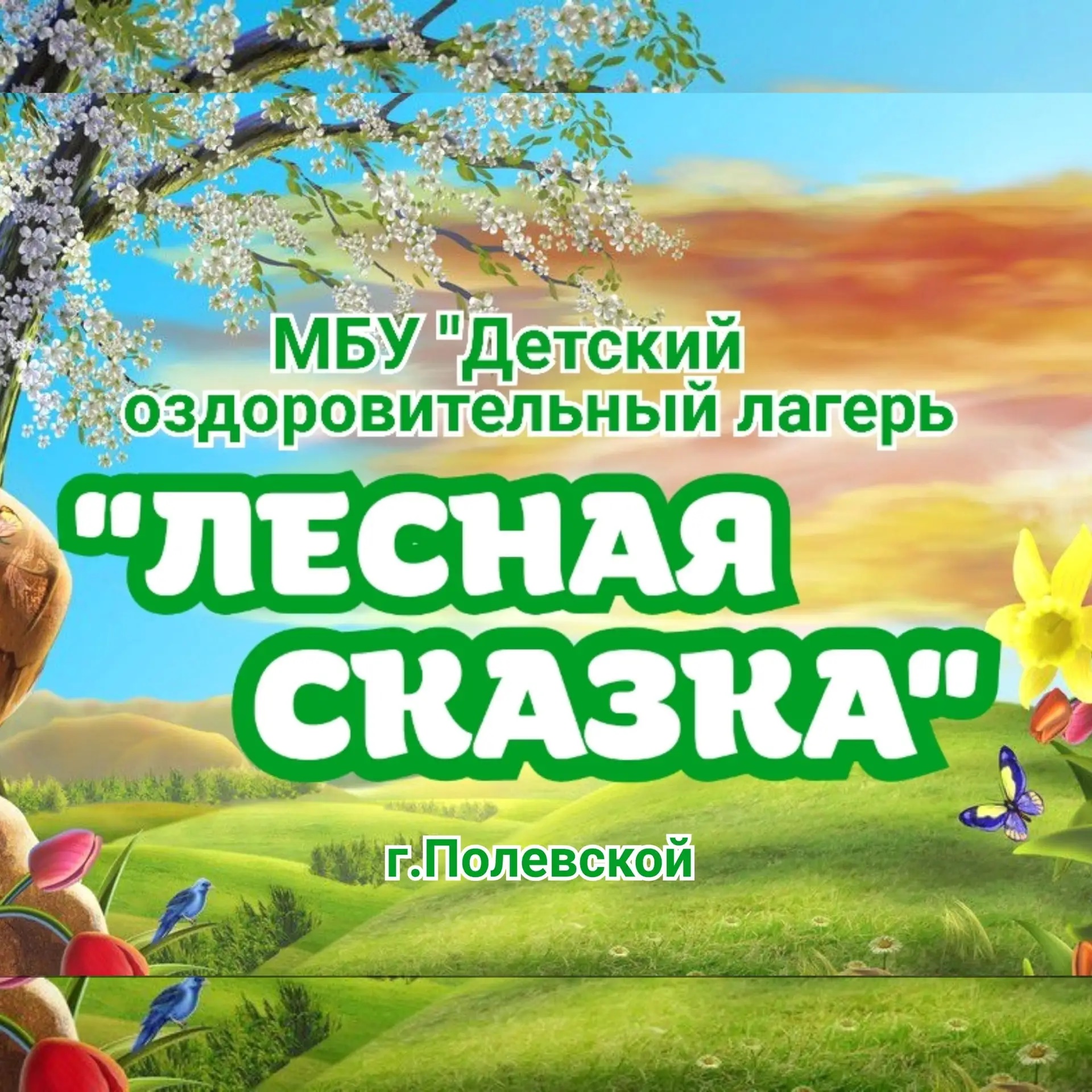 ДОЛ Лесная сказка Полевской