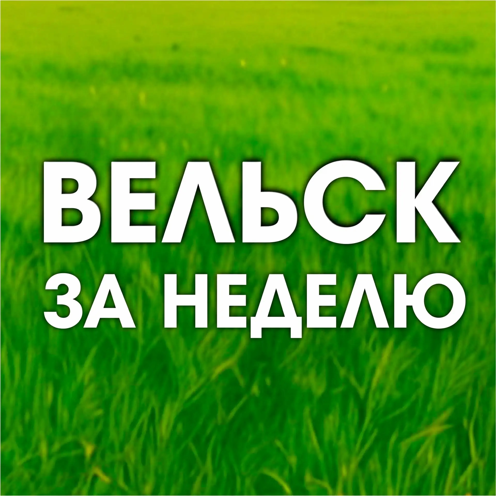 Вельск за неделю
