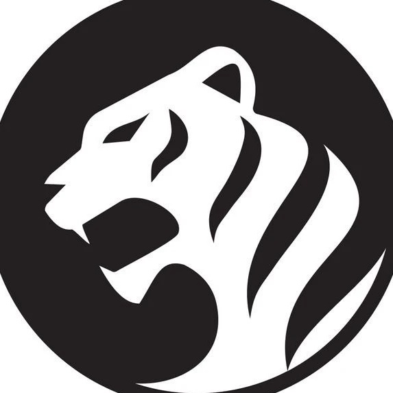 WTS - разработка мобильных приложений | White Tiger Soft