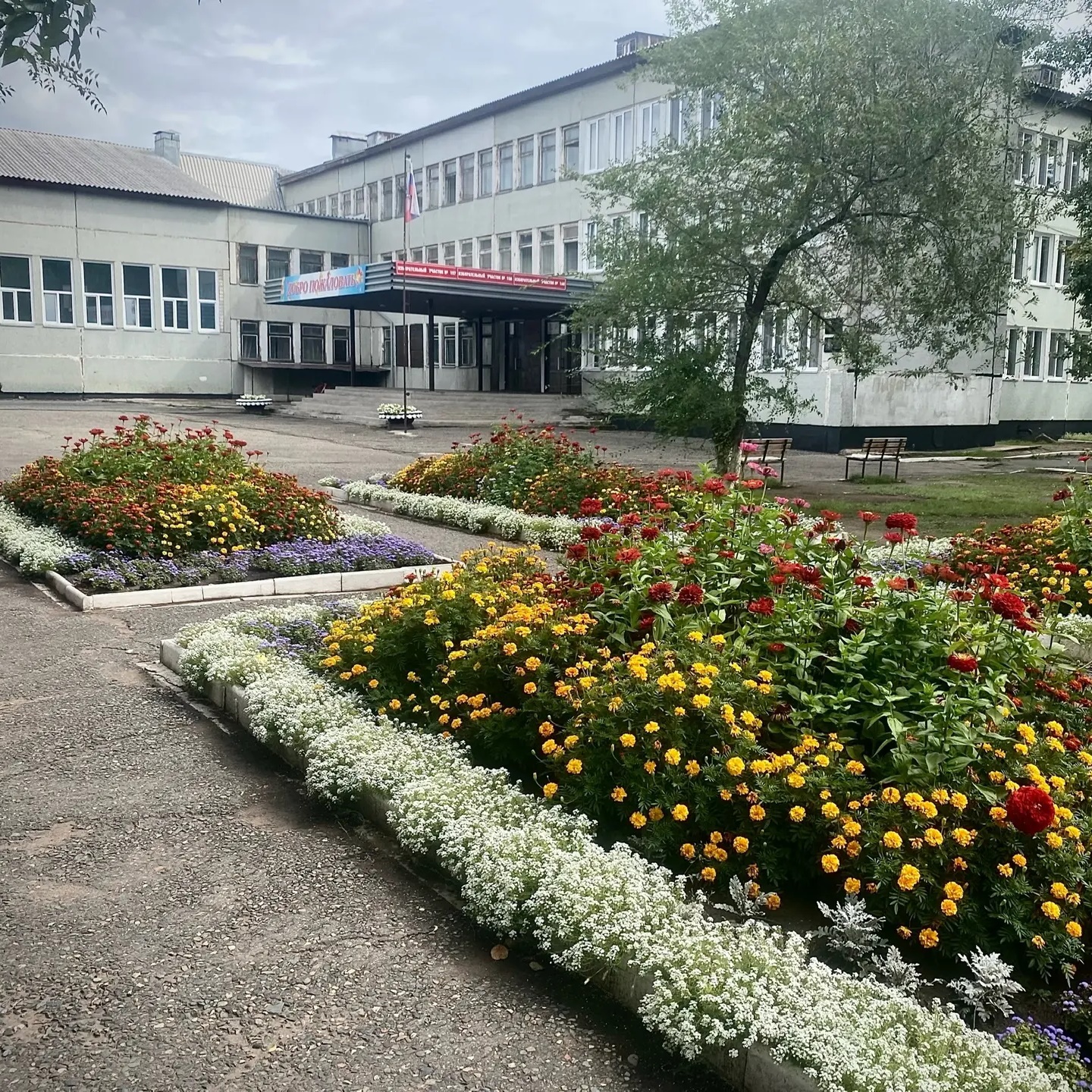 МБОУ «СОШ №20» г.Черногорск