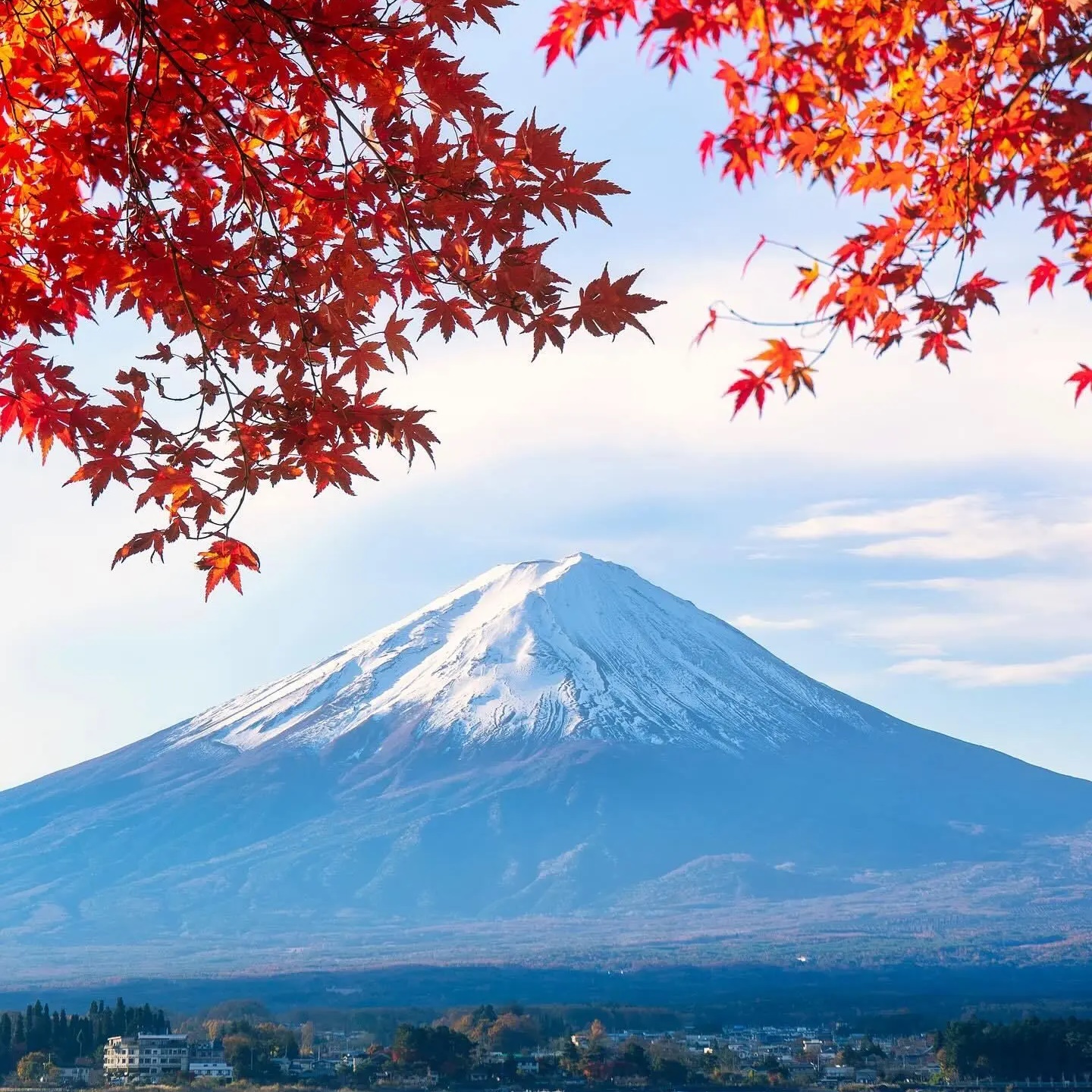 Dreams About Japan • Япония